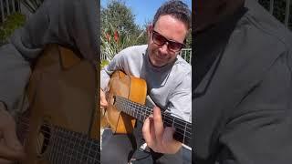 Acoustic Guitar In The Sunshine 