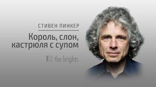 Стивен Пинкер — Король слон и кастрюля с супом