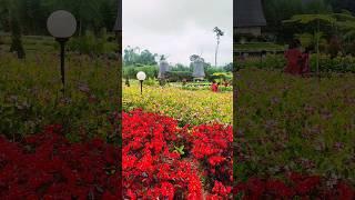 Kebun Cantik di BALI spt di NEGERI DONGENG VERY BEAUTIFUL GARDEN  #buleleng #flowers #garden #bali