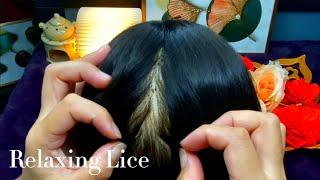 ASMR Relaxing Lice Removal & Scalp Check Head Massage  No Talking 