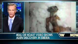 Believe It Or Not Video Shows Alien Discovered in Siberia?