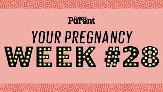 Your pregnancy 28 weeks