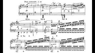Beethoven-Liszt - Symphony 7 - I. Poco sostenuto – Vivace - Cyprien Katsaris Piano