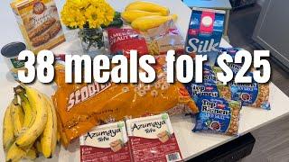 38 VEGETARIAN MEALS FOR $25 Extreme Budget Meal Plan Thatll Save You LOTS Of Money in 2024