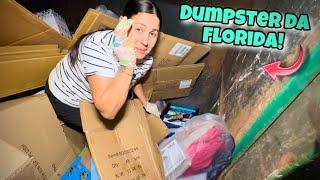 Dumpster da Florida Encontrei muitas coisas