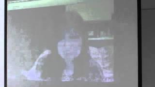 Video Skype - Nakajima 2011