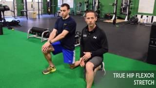 True Hip Flexor Stretch  - Hip Mobility Drill