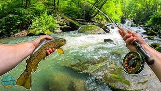 Fly Fishing Heaven The Trout were Underneath Every Rock