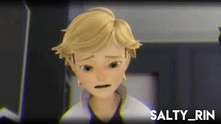 Epilepsy Warning - Adrien + Chat Noir Speed Edit