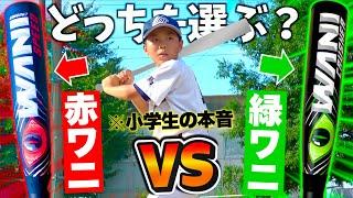 本音はどう？話題の緑ワニvs赤ワニ...小学生に本音を聞いてみた結果。【marucciワニクラッシャーjr.】