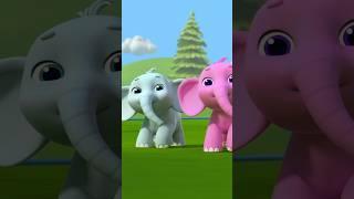 Chaar Mote Hathi Ghumne Chale चार मोटे हाथी #shorts #hindikavita #babyelephant #childhood #ytshorts