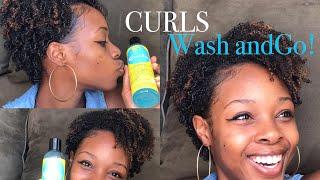 Fall Wash and Go for Natural Hair feat. CURLS BLUEBERRY BLISS Curl Control Jelly