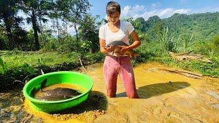 Beautiful girl uses a machine to drain a natural pond and harvest surprisingly large fish