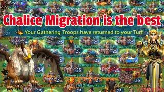 Gryphon Trapping with Chalice Migration Event - Lords Mobile