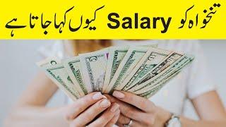 History Of Salary In UrduHindi  Salary Salt Myth  Documentary On Salary  Kamyab TV