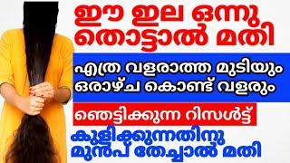 എത്ര വളരാത്ത മുടിയും കാടുപോലെ വളരാൻ ഈ ഇല മതി#trending#homeremedies