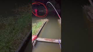 mancing malam-malam.ada apa itu? #Shorts #mancing #horor #angker #youtubeshorts