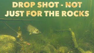 Drop Shot - Not Just For The Rocks #shorts