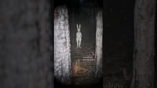 Easter Bunny is hiding something sinister...#wendigo #Nightmare #animation #easterbunny #3d #monster