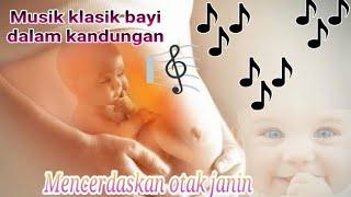 Musik klasik bayi dalam kandungan Paling di gemari 