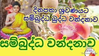 සම්බුද්ධ වන්දනාව  sambuddha wandanawa @DamSisila