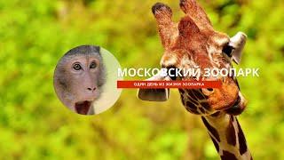 Московский Зоопарк - прогулка по зоопарку. Стоит ли посещать цена билетов и  панда