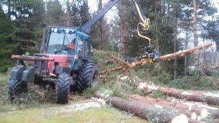 MTZ 82 & ARBRO 400S in forest