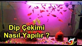 Dip Çekimi Nasıl Yapılır ?