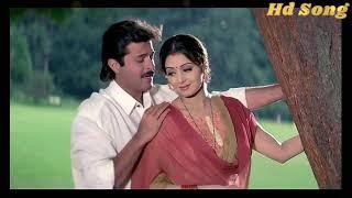 Tu Meri Jaan Hai Tu Meri Dhadkan Tu Hai Meri Jindgani  Anil Kapoor Shri Devi  Judaai  90s Sad