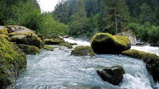 Rushing White Water Ambience  Powerful Stream Sounds For Calming Rest  10 Hour Natural White Noise