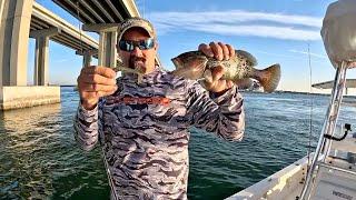 Easiest 3 Ways To Catch Saltwater Fish With Lures Case Study