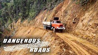 Worlds Most Dangerous Roads - Borneo Jungle Trap