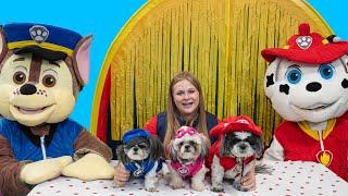 Assistant Turns Dogs Wiggles Waggles and Waffles into Paw Patrol