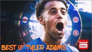 Best of Tyler Adams