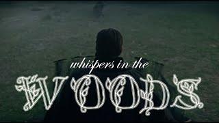 Shadow and Bone  The Woods【FMV】