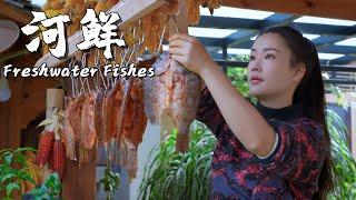 Freshwater Fishes Fresh Flavors from Streams in Yunnan Mountains【滇西小哥】