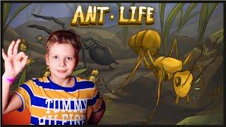 Симулятор муравьёв в Роблоксе. Как играть? Ant Life Roblox