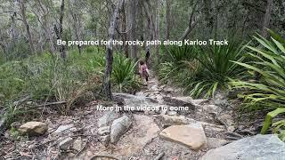 Karloo Track and Bottle Forest Trail Loop Royal National Park NSW 2232