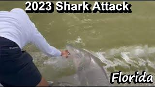 Shark Grabs Anglers Hand Florida Shark Attack Caught on Camera