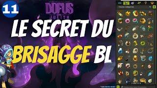 DOFUS - ON VALIDE LA TECHNIQUE DU BRISAGE BL SUR DRACONIROS  AVENTURE DE 0 ASTUCE KAMAS EP11