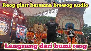 brewog audio reog horeg langsung dari bumi reog Ponorogo