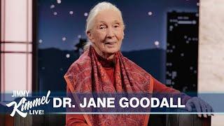 Dr. Jane Goodall on Living with Chimps Their Language & the Possibility of Bigfoot