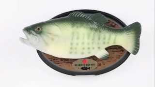 Big Mouth Billy Bass - Spencers