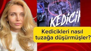 Akıl almaz tuzaklar kurarak kızları kandırmışlar. #kedicik #adnanoktar #kedicikbelgeseli