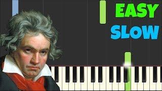 HOW TO PLAY Für Elise for Beginners Slow Easy Piano Tutorial Synthesia