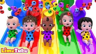 Exciting slide ball pool  One Little Finger & Bingo + Nursery Rhymes  Kindergarten  LimeAndToys