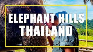 Elephant Hills Thailand Our Three-Day Jungle And Lake Safari at an Ethical Elephant Sanctuary