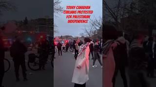 warga sipil Canada turun ke jalan mendukung Palestina #freepalestine #palestine #palestina