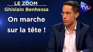 Nous devons réapprendre la désobéissance - Le Zoom - Ghislain Benhessa - TVL