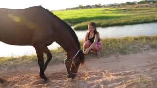 Girl Training Her Horse At Farm Training horse